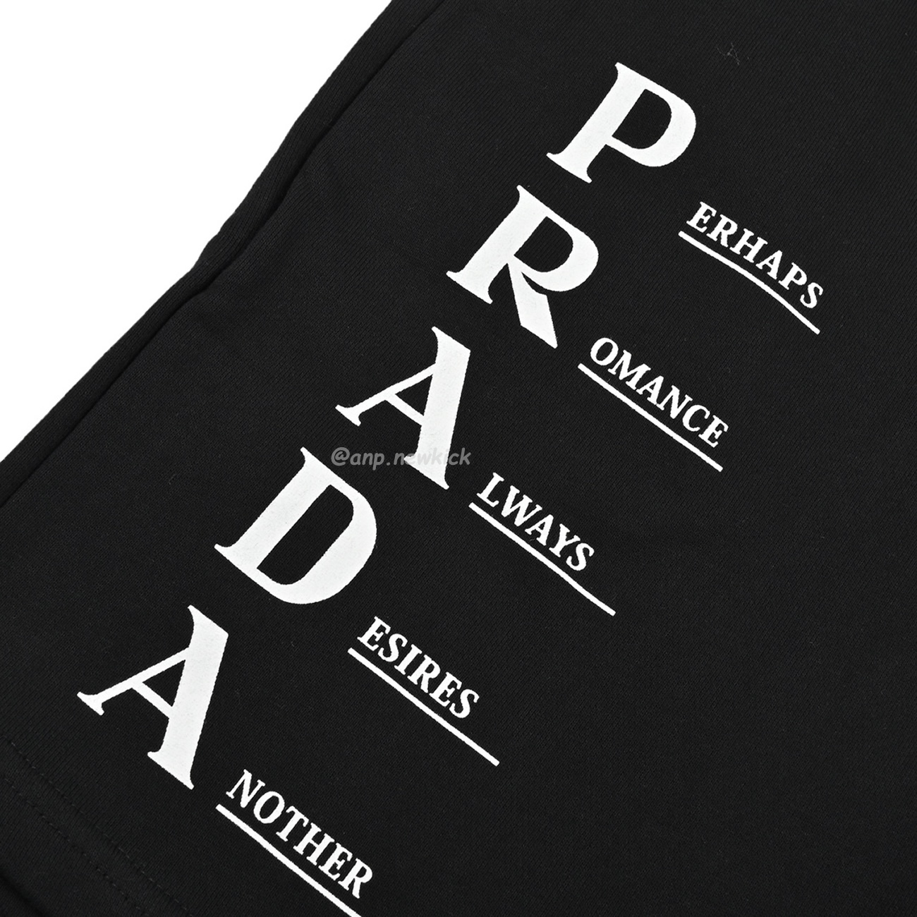 Prada Triangle Letter Logo Printed Shorts (4) - www.newkick.vip